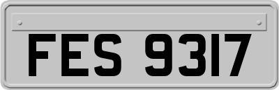 FES9317