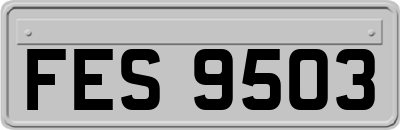 FES9503