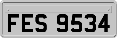FES9534