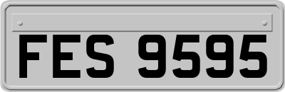 FES9595