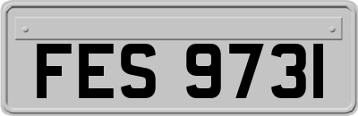 FES9731
