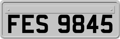 FES9845