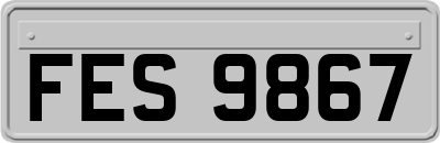 FES9867