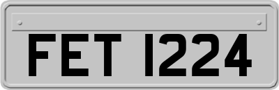 FET1224