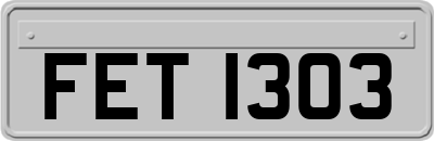 FET1303