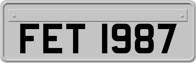 FET1987