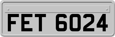FET6024