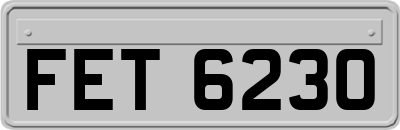 FET6230