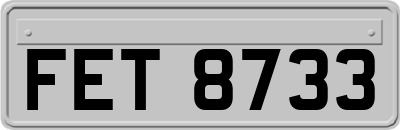 FET8733
