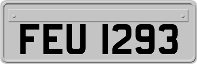 FEU1293