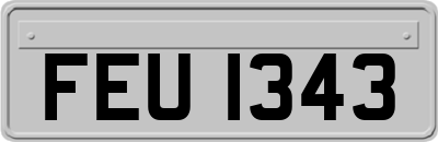 FEU1343