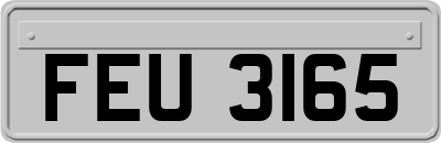 FEU3165