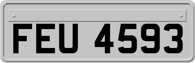 FEU4593