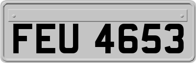 FEU4653