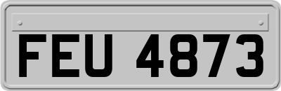 FEU4873
