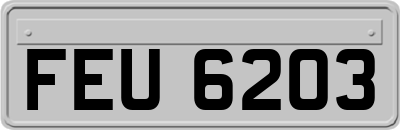 FEU6203