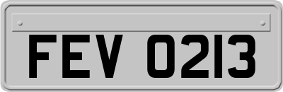 FEV0213