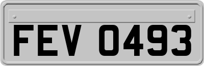FEV0493