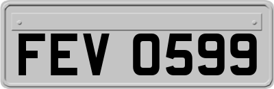 FEV0599