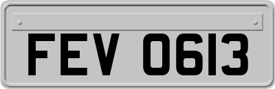 FEV0613