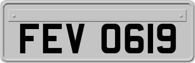 FEV0619