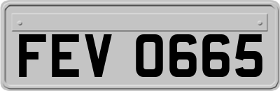 FEV0665