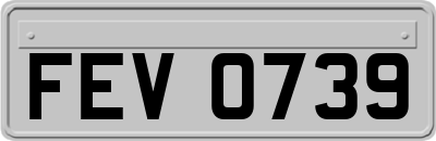 FEV0739