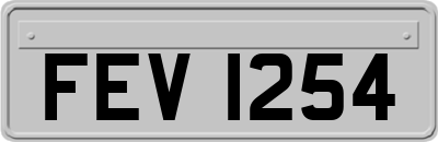 FEV1254