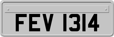 FEV1314
