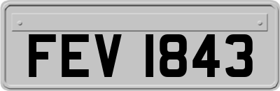 FEV1843