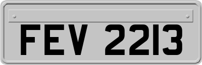 FEV2213