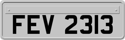 FEV2313