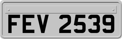 FEV2539