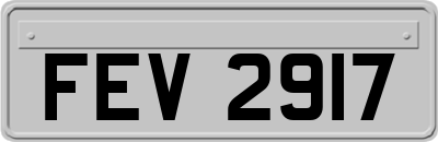 FEV2917