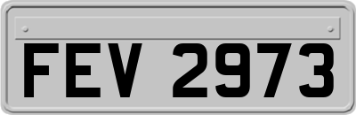 FEV2973