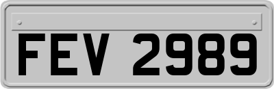 FEV2989