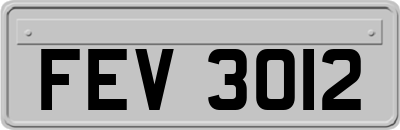 FEV3012
