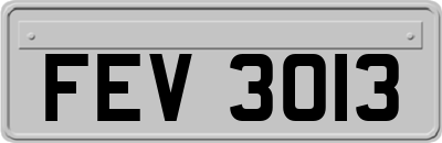 FEV3013