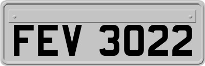 FEV3022
