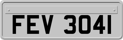 FEV3041