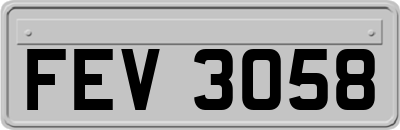 FEV3058
