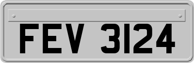 FEV3124