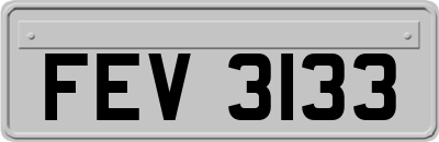 FEV3133