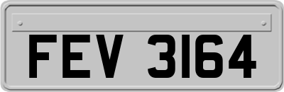 FEV3164