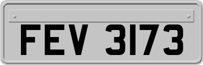 FEV3173