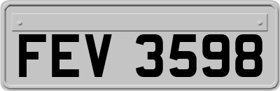 FEV3598