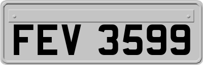 FEV3599