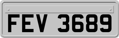 FEV3689