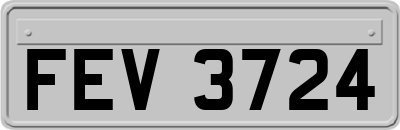 FEV3724