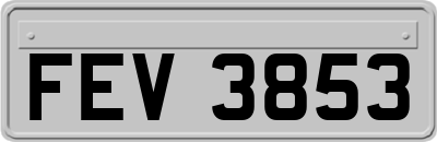 FEV3853